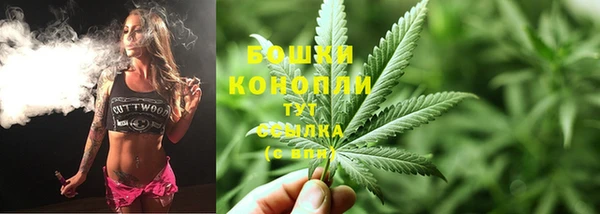 гидра Белокуриха