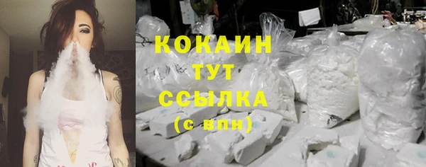 гидра Белокуриха