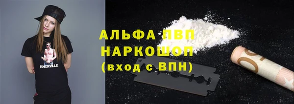 гидра Белокуриха