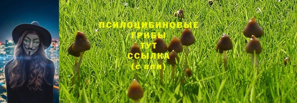 гидра Белокуриха