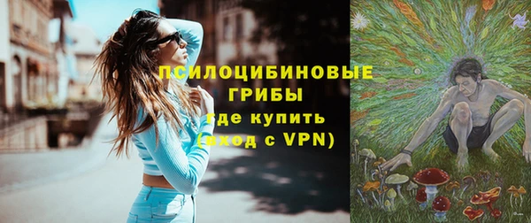 гидра Белокуриха