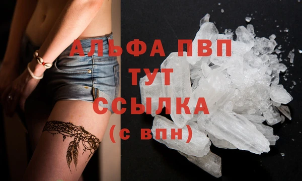 гидра Белокуриха