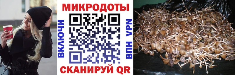 KRAKEN маркетплейс  Кущёвская  Псилоцибиновые грибы GOLDEN TEACHER  наркота 
